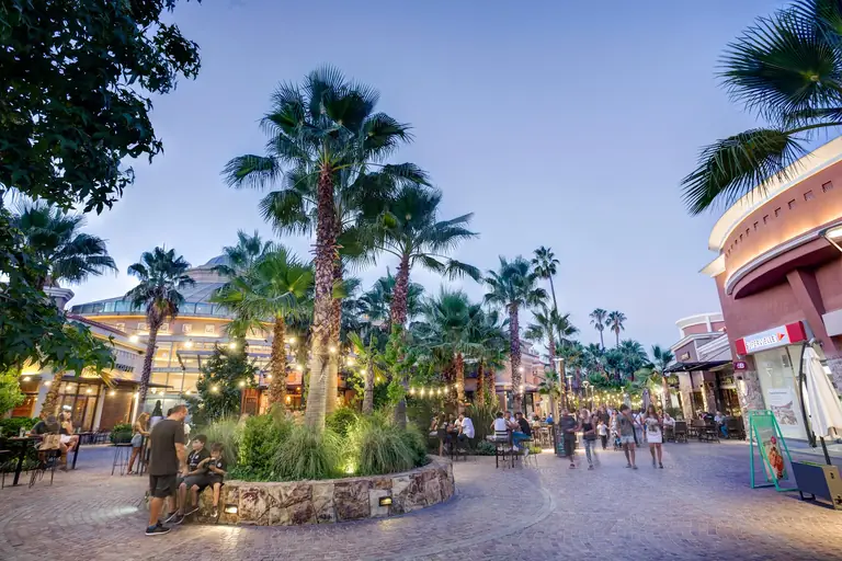 Palmares - Mendoza - Argentina