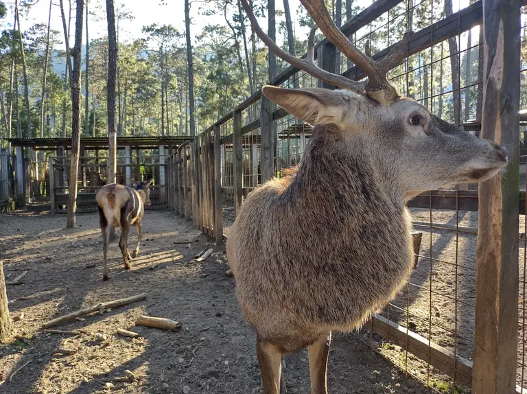 Parque Ecoturístico Rancho Nuevo